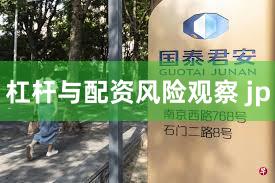 杠杆与配资风险观察 jp