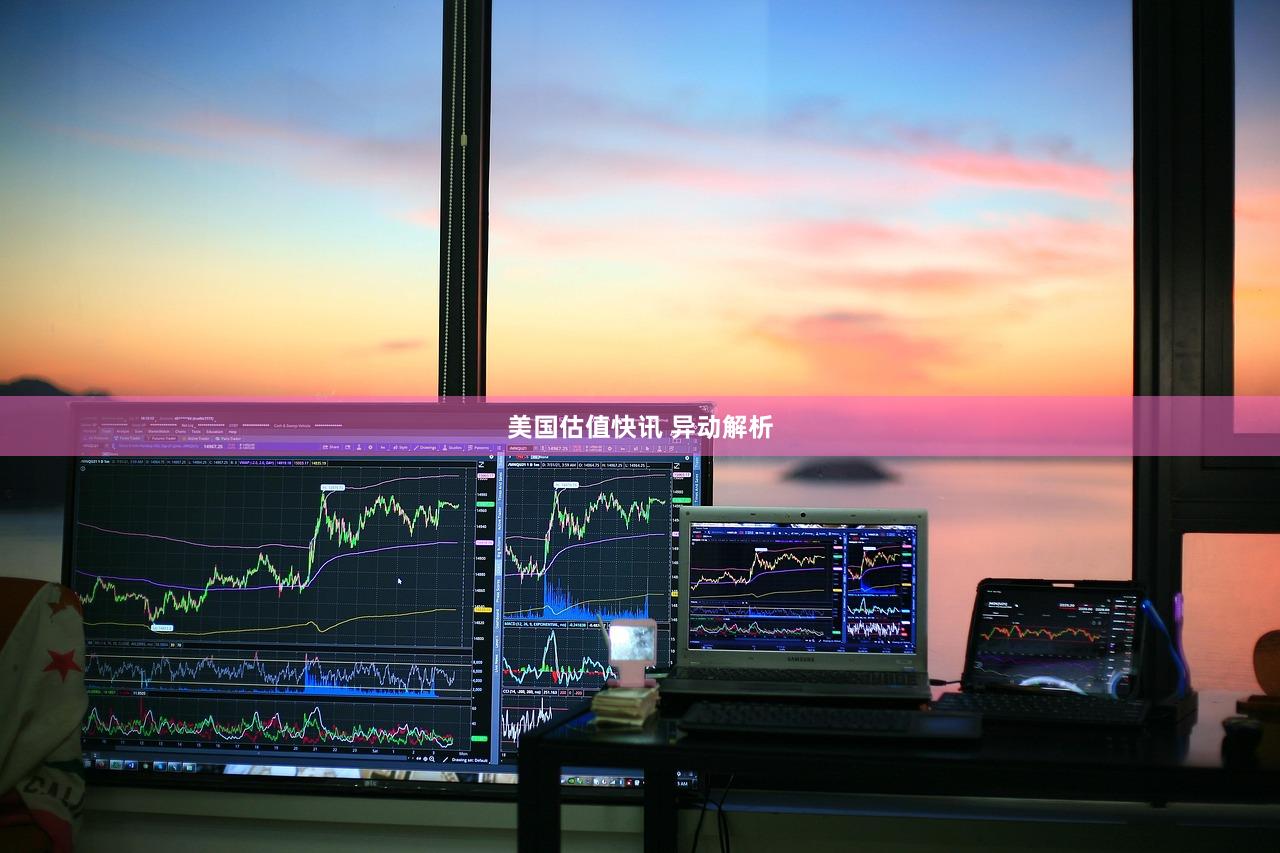 美国估值快讯 异动解析